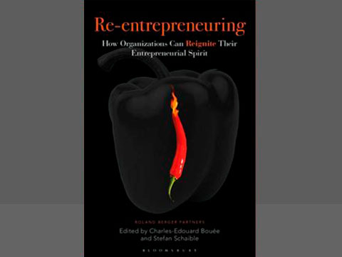 Re-entrepreneuring Book Cover